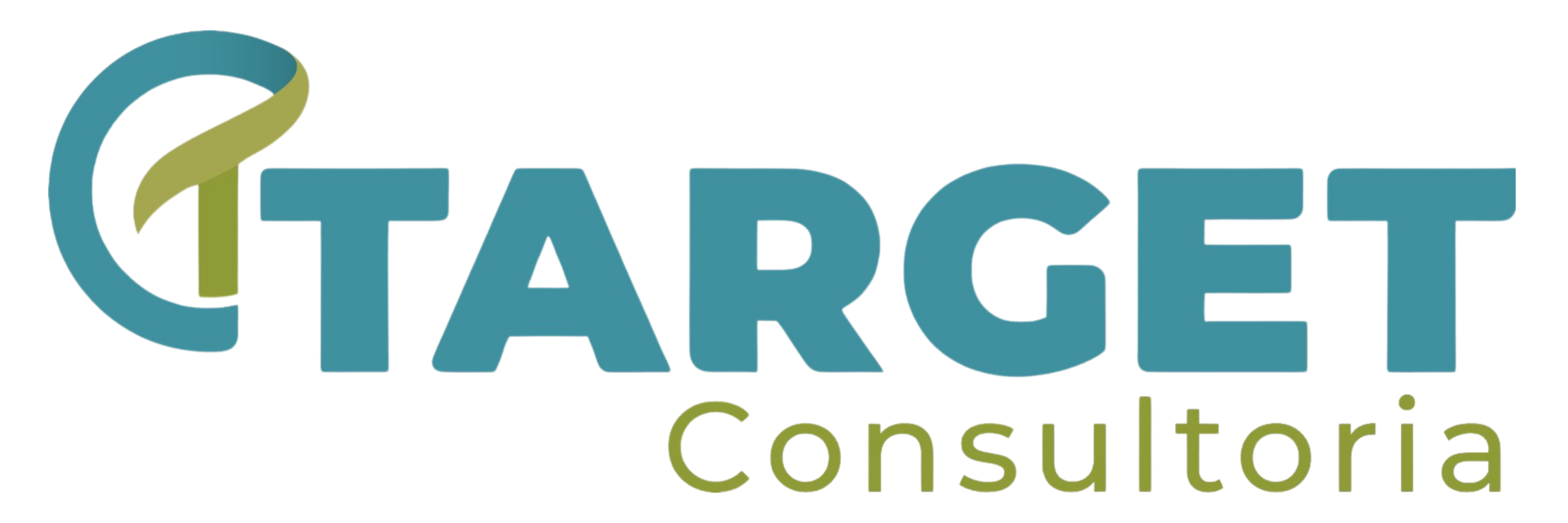 TARGET CONSULTORIA 